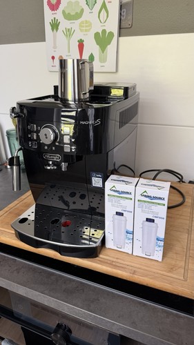 Longhi magnifica s - magnifica,