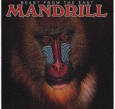 Mandrill beast from the - beast,