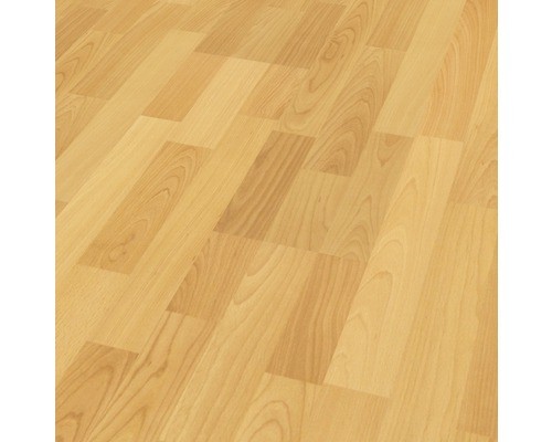 Laminat basic buche - basic,