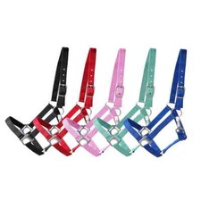 Halfter Nylonhalfter  Maddy