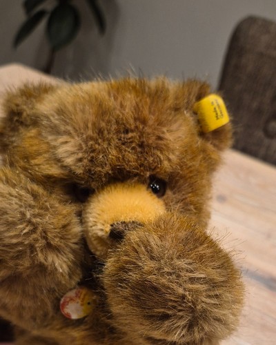 Steiff bär floppy teddy 5700 - bär,