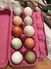 10 bunte Eier von glücklichen Hühnern aus Freilandhaltung, neue Eierfarbe OLIV!