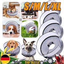 Katze Hund Haustiere