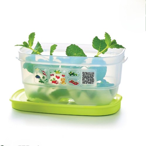 Tupperware klimaoase 375 - klimaoase, ml