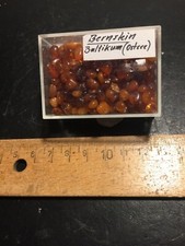 Bernstein, Baltikum, Ostsee, komplette Dose