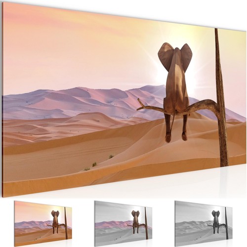 Wandbild afrika elefant bilder - wandbild,
