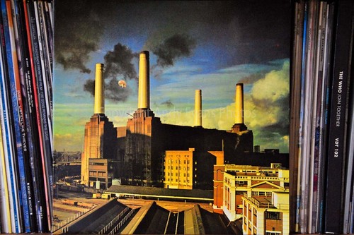 Pink floyd animals albumcover - pink,