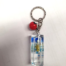 Pokemon Schlüsselanhänger