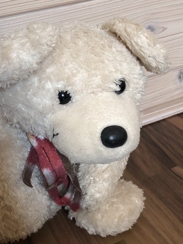 Teddybär energie bär - cm,