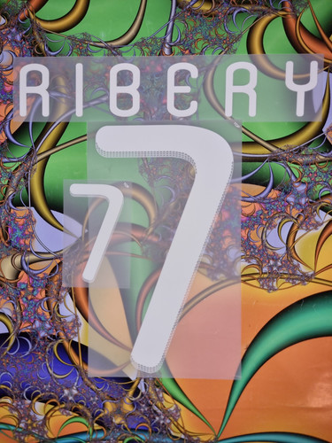 Nat france ribery player - ribery, wh