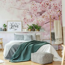 Fototapete Zarte Kirschblüten