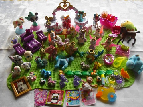 Schönes filly paket - ,