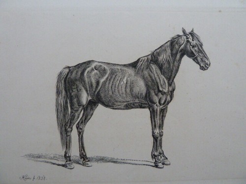 Johann adam klein1792 1875 - johann,