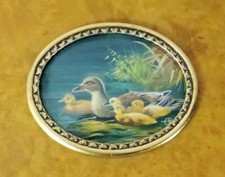 Haffke enten schilf - enten, in