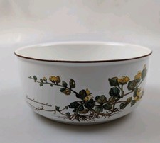 Große Villeroy und Boch Botanica Schüssel Lysimachia Nummularia Top Zustand 