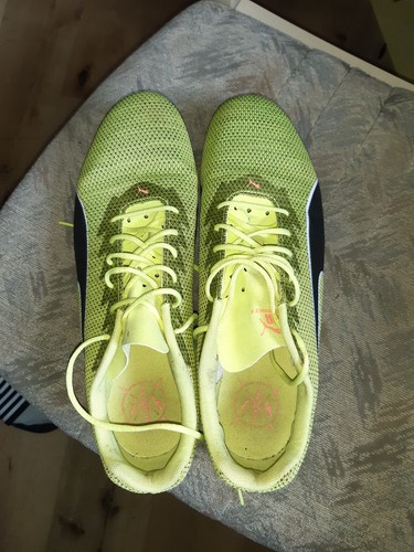 Neu spikeschuhe puma evospeed - spikeschuhe,