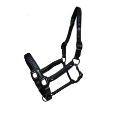 Schwarzes Lederhalfter mit