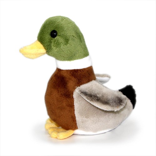 Plüsch ente stockente erpel - ente,