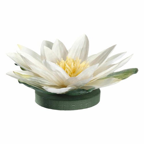 Leonardo fiore seerose - leonardo,