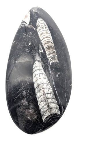 Sm0127 natürlicher - sm0127,