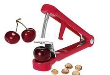 Kirschen-Entsteiner LadyKirsch