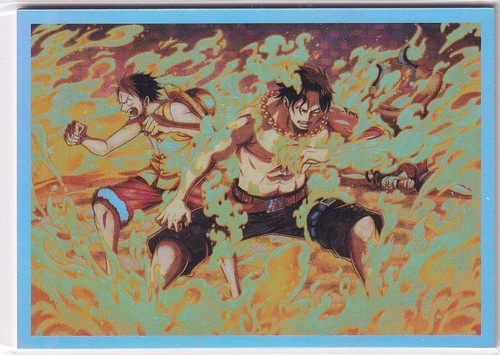 Panini one piece 25th - one,