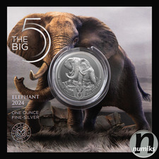 ELEFANT 2024 Südafrika - 1 Oz