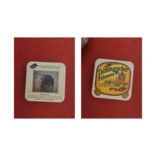 Hintz Marne i.Holstein