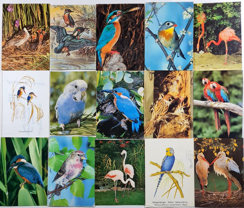 Vögel tierpostkarte lot x - tierpostkarte, 23