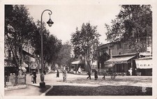 Old postcard CAVAILLON