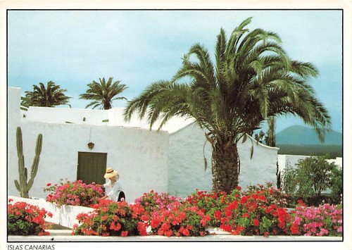 Alte kanarische inseln 1985 - ak,