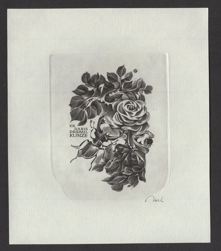 313 exlibris ex - s2)nr.313,exlibris,,