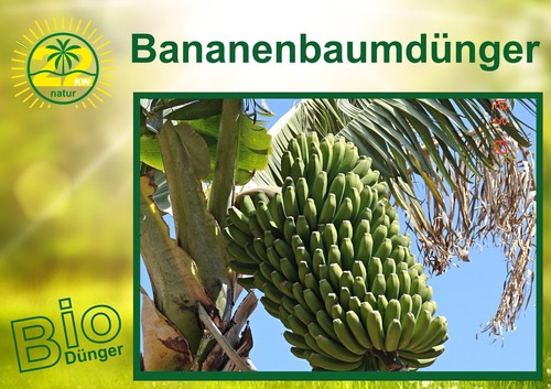 Bio bananenbaum dünger - bio,