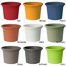 10 Farben + 12 Größen