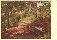 Alte Kunstpostkarte - E. Giger - Wald-Brünneli