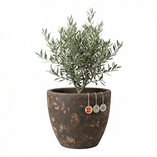 Keramik blumentopf eggpot lava - keramik,