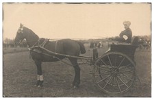 XX2421/ Kutsche Einspänner Trabrennen  Pferd  Foto AK ca. 1912