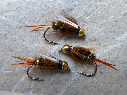 Goldkopf prince nymphen - goldkopf,
