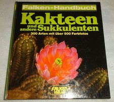 Kakteen und andere - kakteen,