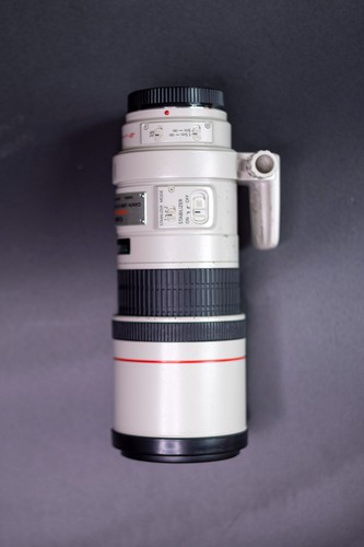 Canon 300mm l - canon, f/4.0