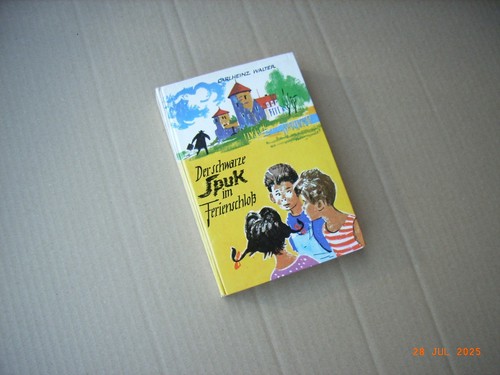 Der schwarze spuk - spuk, im