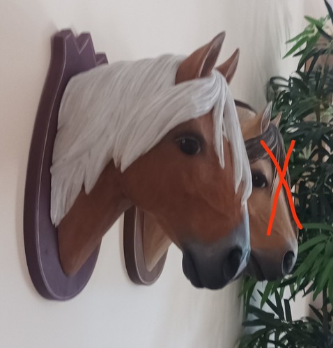 Haflinger pferdekopf - haflinger,