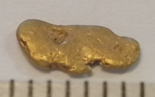 Goldnugget barren gold - goldnugget,