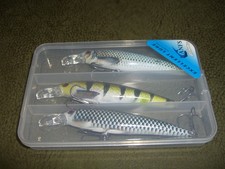Wobbler Set  11cm 13g für
