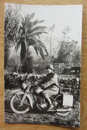 Altes portrait foto - altes,