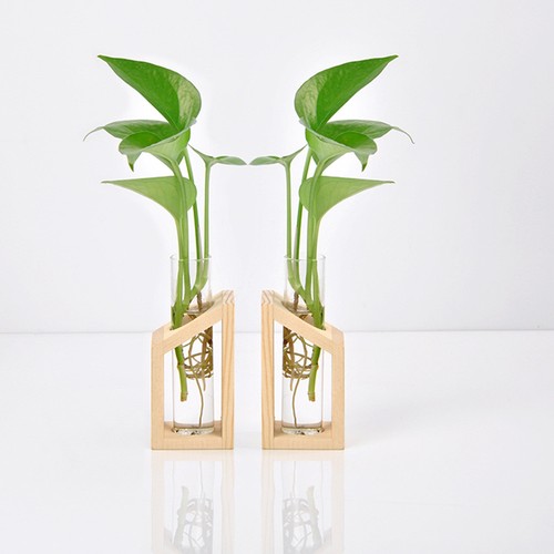 Deko reagenzglas vase - deko,