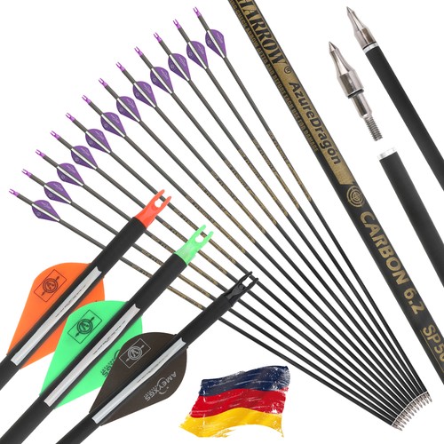 12x reine carbonpfeile - 12x,