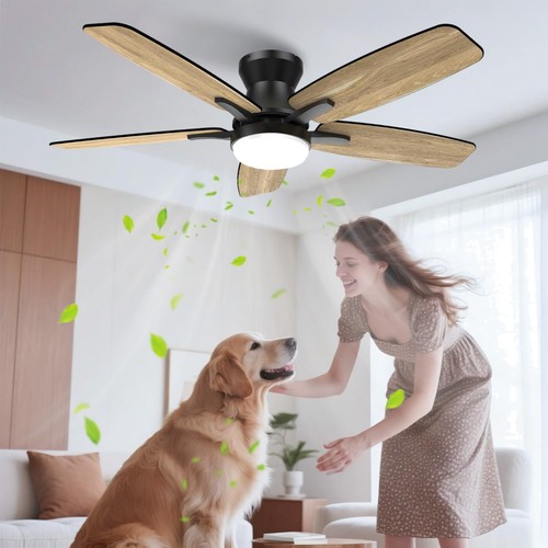 Deckenventilator beleuchtung - deckenventilator,
