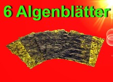 Garnelen 🐠 6 ALGENBLÄTTER