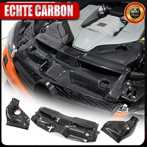 Dry carbon motorabdeckung - dry,